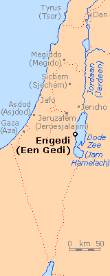 Een Gedi