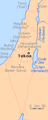 Tekoa